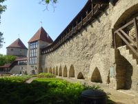 Tallinn: Stadtmauer