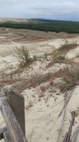 Kurische Nehrung: Hohe Düne
