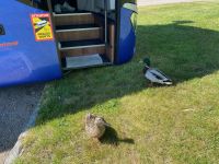  ...interessieren sich sehr für uns.