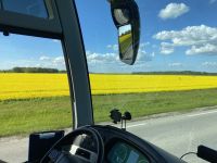 blühende Landschaften