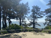 Mann nannte diesen Blick seinen 