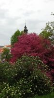 Park mit Schloßkirche in Tartu &ndash; &copy; Allina Anderer (Eberhardt TRAVEL)