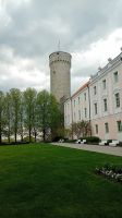 Langer Hermann Tallin &ndash; &copy; Allina Anderer (Eberhardt TRAVEL)
