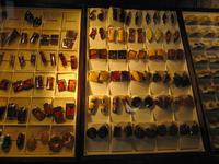 Bernstein - das Gold der Ostsee