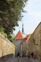 Stadtrundgang Tallinn