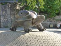 am Strand von Jurmala 