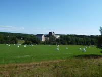 Aland_Kastelholm (2)