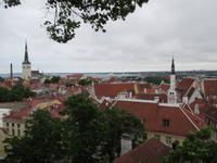 Blick über die Dächer der Altstadt