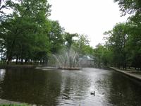 Eine Fontaine mitten im Teich