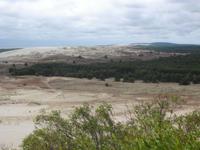 Auf der großen Düne bei Nida