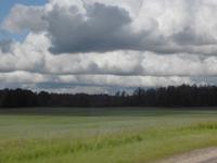 Himmel Wald und Felder in Lettland