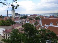 Tallinn Blick von der Oberstadt