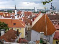 Tallinn Blick von der Oberstadt