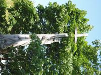 03_Kurische_Nehrung_Schwarzort (4)