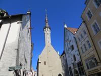 Rathaus Tallinn