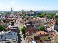 Tallinn von der Olafskirche