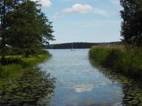 Am Mälarsee
