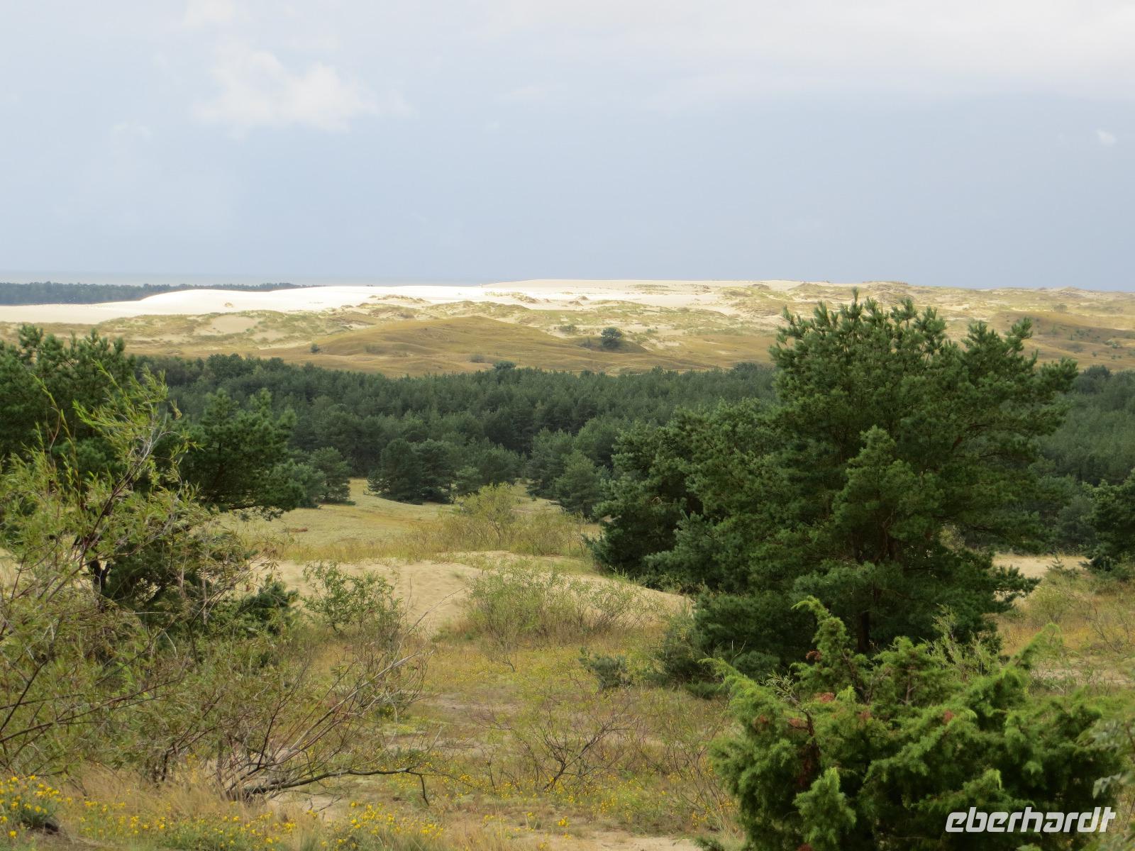 Hohe Düne