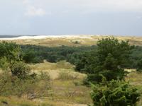 Hohe Düne