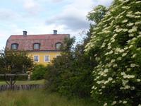 In Mariefred