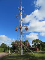 Middsommerfestbaum