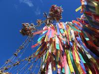 Middsommerfestbaum