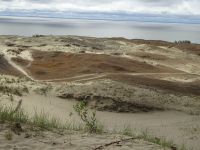 Nidden: Hohe Düne