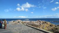 Ostsee-Kreuzfahrt mit AIDAaura - Bornholm