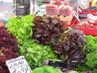 Rigaer Markt