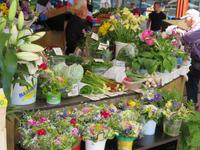 Tallinn Markt