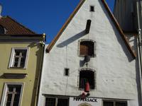 Tallinn: Rundgang