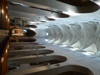 Turku_Dom (3)
