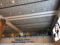 Ankunft am Flughafen in Singapur