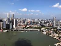 Australien-Neuseeland Auswahl 2018