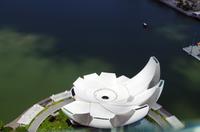 Australien-Neuseeland Auswahl 2018