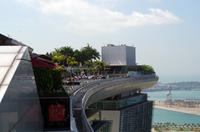 Australien-Neuseeland Auswahl 2018