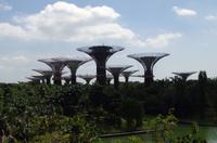 Besuch der Gardens by the Bay in Singapur
