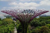 Australien-Neuseeland Auswahl 2018