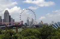 Australien-Neuseeland Auswahl 2018