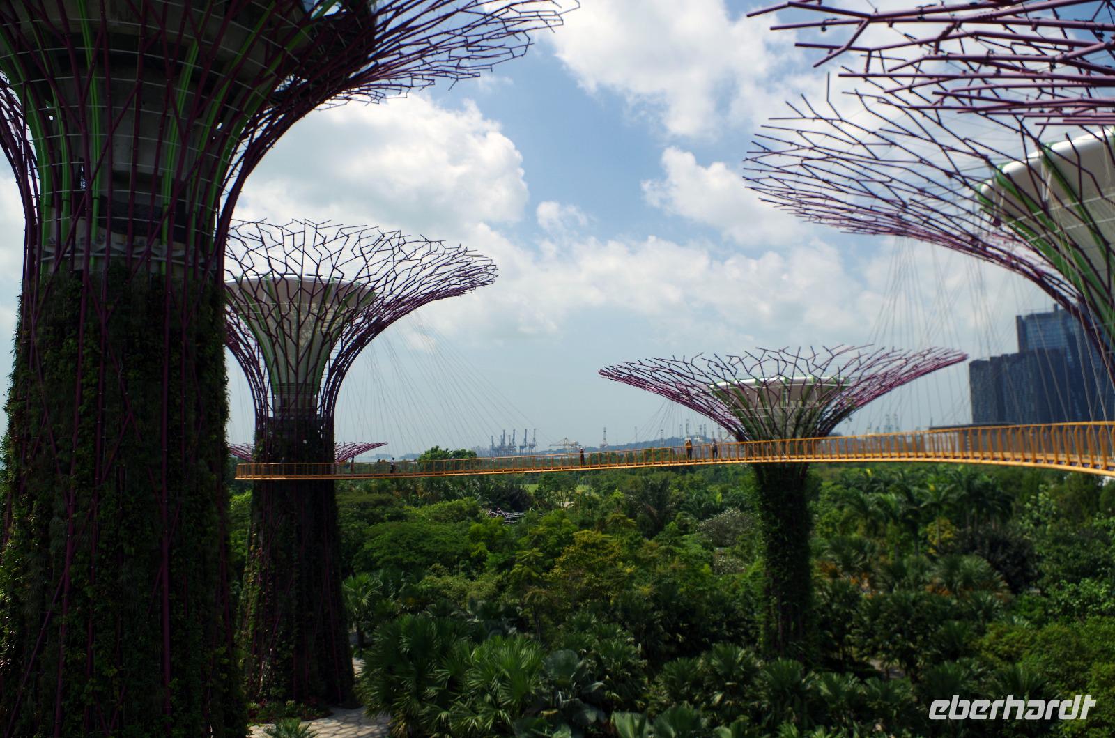 Besuch der Gardens by the Bay in Singapur mit Spaziergang OCBC Skyway