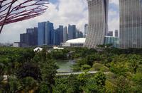 Besuch der Gardens by the Bay in Singapur mit Spaziergang OCBC Skyway