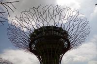 Besuch der Gardens by the Bay in Singapur mit Spaziergang OCBC Skyway