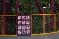 Besuch der Gardens by the Bay in Singapur mit Spaziergang OCBC Skyway