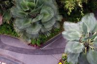 Besuch der Gardens by the Bay in Singapur mit Spaziergang OCBC Skyway