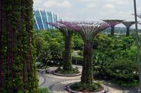 Besuch der Gardens by the Bay in Singapur mit Spaziergang OCBC Skyway