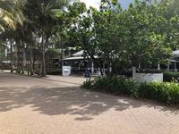 Palm Cove