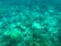 Fahrt mit Halbunterwasserunterboot 