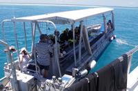 Fahrt mit dem Transferboot zur Insel Michaelmas Cay zum Schnorcheln