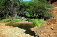 Besuch der Kata Tju?a (The Olgas) mit kleine Wanderung 