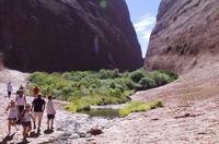 Besuch der Kata Tju?a (The Olgas) mit kleine Wanderung 